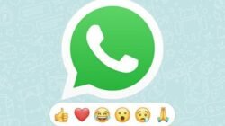 WhatsApp Rilis Fitur Canggih Berupa Emoji Reaksi, Ini Update Terbarunya