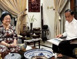 Pertemuan Jokowi-Megawati, Pengamat : Memiliki Makna Positif