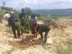 Pembenahan Lahan dan Penanaman pohon untuk Percontohan agrowisata Jampang Tengah